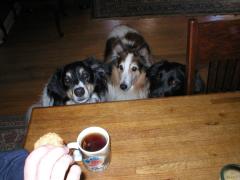 Cookie monsters